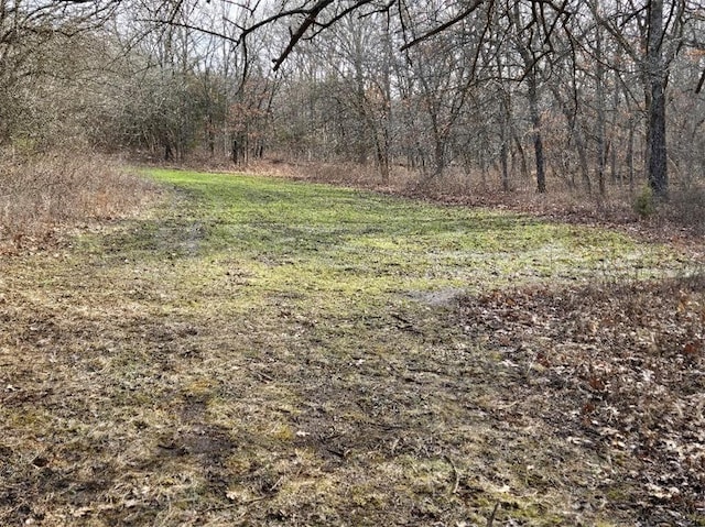 view of yard with a forest view