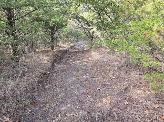 view of local wilderness