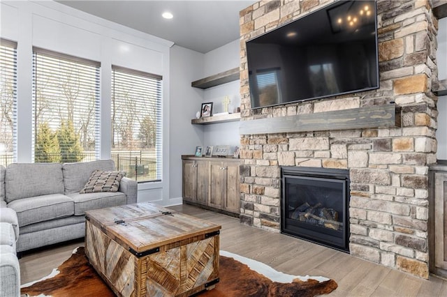 living room featuring a fireplace and wood finished floors