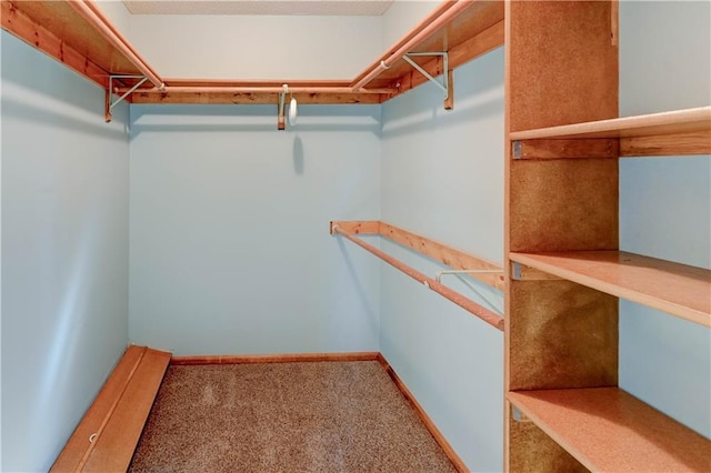 walk in closet with carpet floors