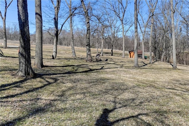 view of yard featuring an outbuilding