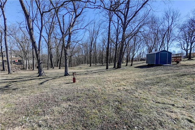 view of yard featuring an outdoor structure and a shed