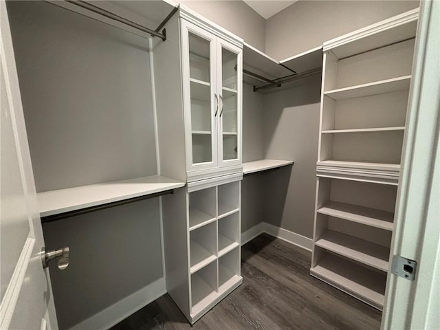 walk in closet featuring dark wood-type flooring