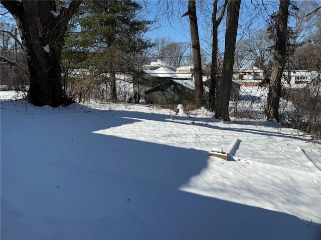 view of yard covered in snow