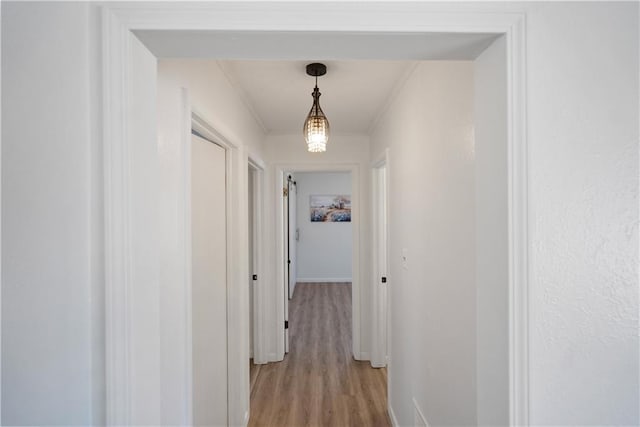 hall with light wood finished floors, baseboards, and ornamental molding