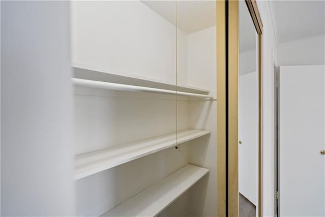 view of closet