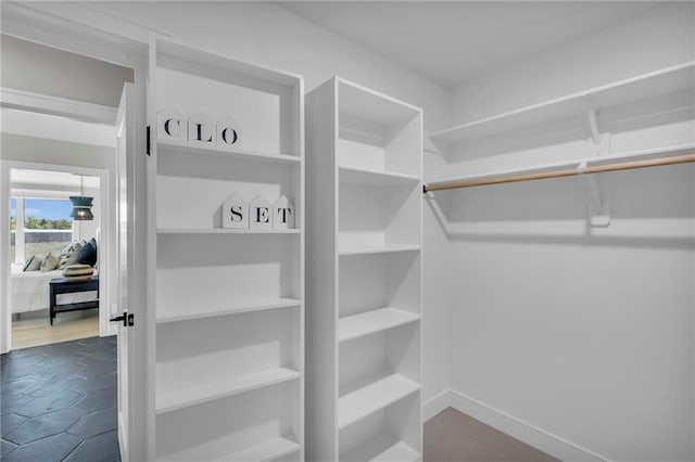 view of spacious closet