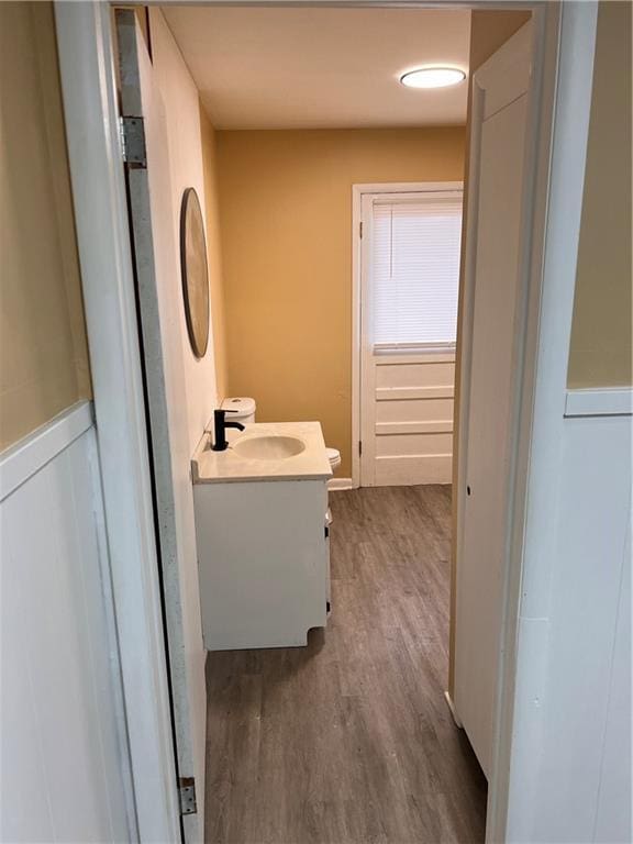 bathroom with a wainscoted wall, wood finished floors, and vanity