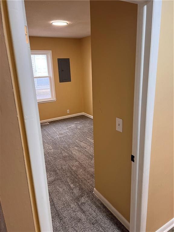 interior space featuring carpet flooring, electric panel, and baseboards