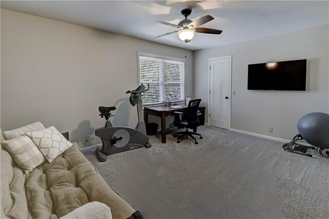 3 Redbird Dr, Agency, MO 64401 - photo 33