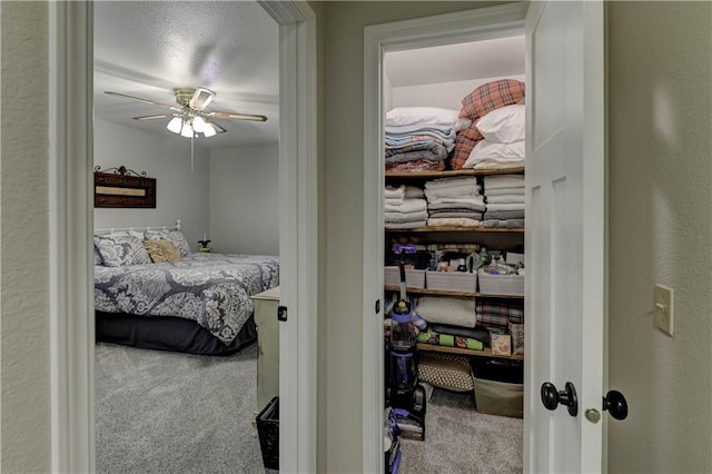 3 Redbird Dr, Agency, MO 64401 - photo 41