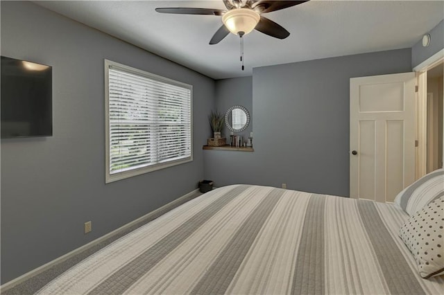 3 Redbird Dr, Agency, MO 64401 - photo 45
