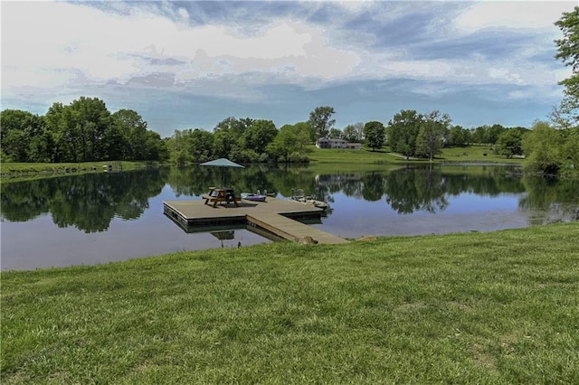 3 Redbird Dr, Agency, MO 64401 - photo 59