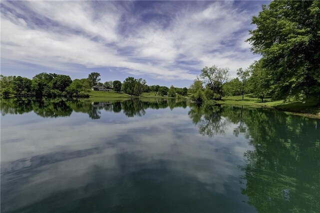 3 Redbird Dr, Agency, MO 64401 - photo 60