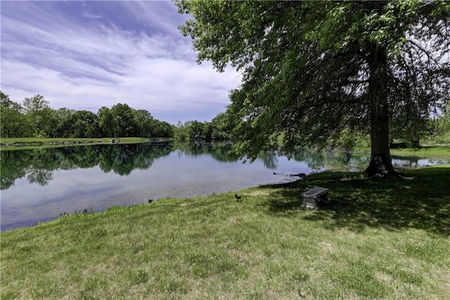 3 Redbird Dr, Agency, MO 64401 - photo 63