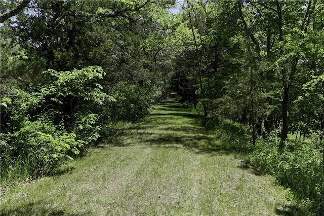 3 Redbird Dr, Agency, MO 64401 - photo 67