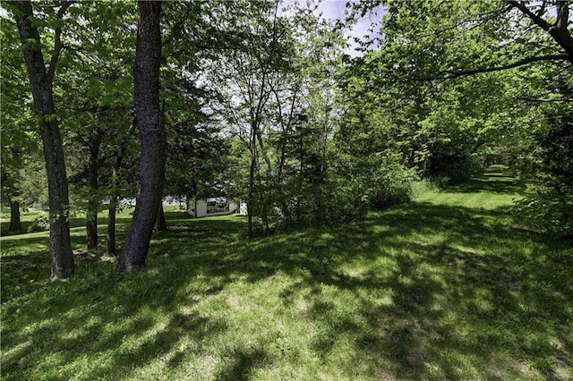 3 Redbird Dr, Agency, MO 64401 - photo 70