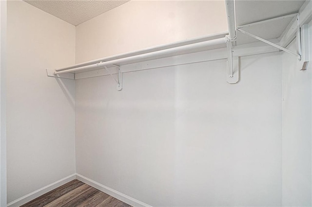 walk in closet featuring wood finished floors