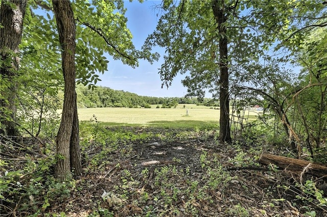 8100 Harry S Truman Dr, Grandview, MO 64030 - photo 4