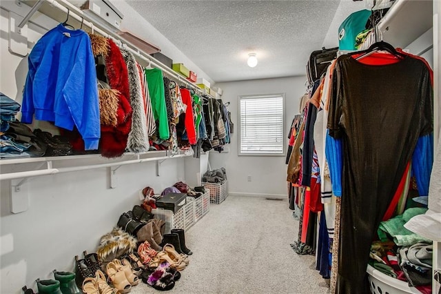 spacious closet featuring carpet floors