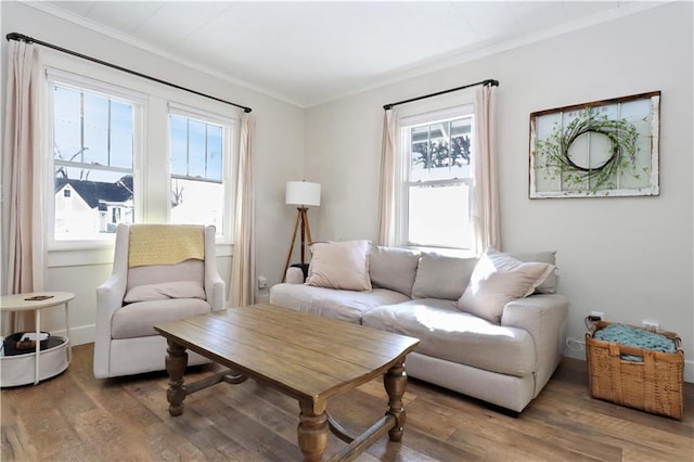 living room featuring wood finished floors and crown molding