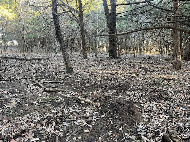 view of local wilderness featuring a forest view