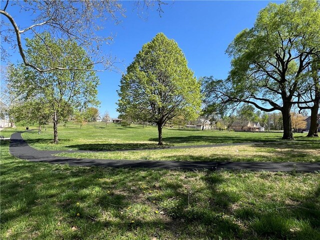 view of community with a yard