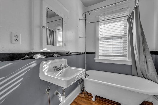 full bathroom featuring a sink, wood finished floors, and a freestanding tub