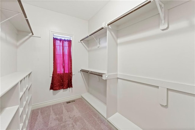 spacious closet with carpet and visible vents