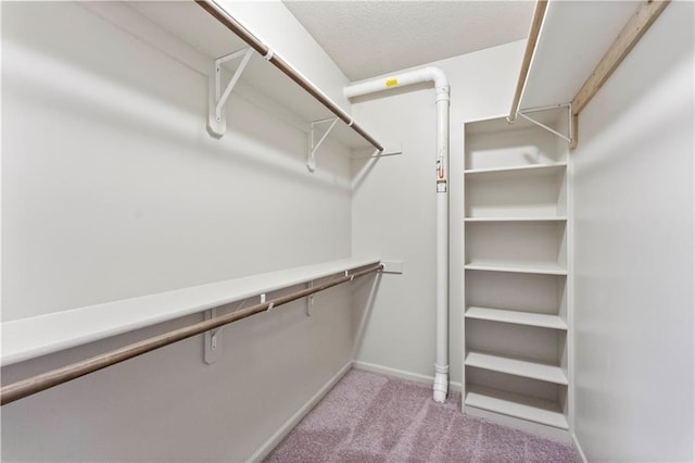 spacious closet with light colored carpet