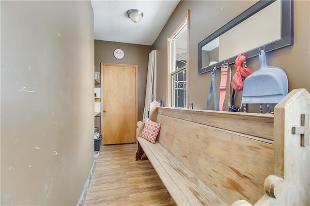 interior space with light wood-type flooring