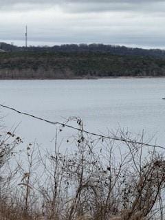 property view of water with a forest view