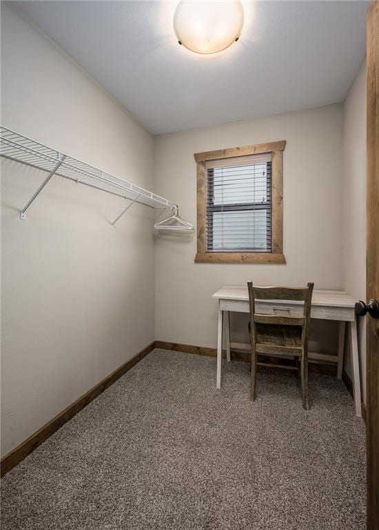 164 Dogwood Park Trl, Branson, MO 65616 - office space with carpet flooring and baseboards