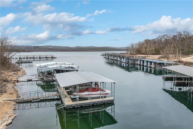 164 Dogwood Park Trl, Branson, MO 65616 - dock area featuring a water view