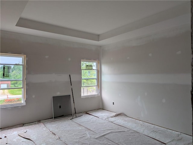 1107 Charles St, Knob Noster, MO 65336 - unfurnished room with plenty of natural light and a raised ceiling