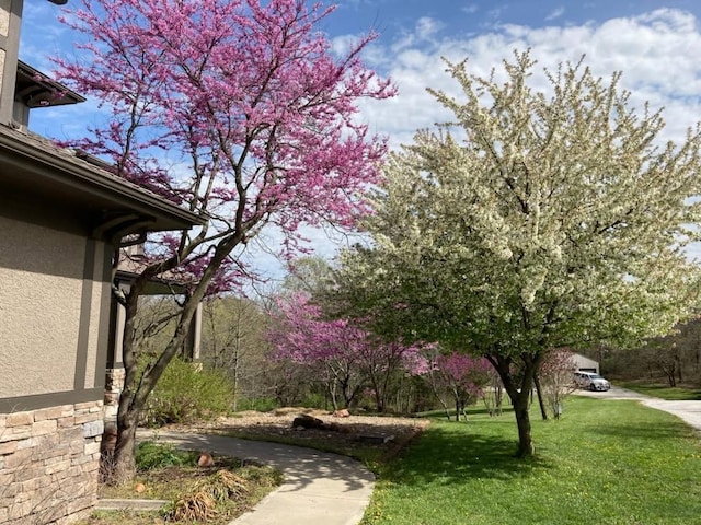 13201 NW Interurban Rd, Kansas City, MO 64163 - photo 18