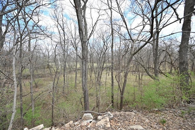 13201 NW Interurban Rd, Kansas City, MO 64163 - photo 32