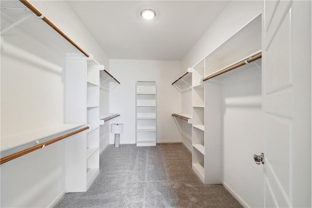 walk in closet featuring dark carpet