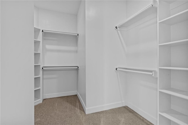 walk in closet with carpet flooring