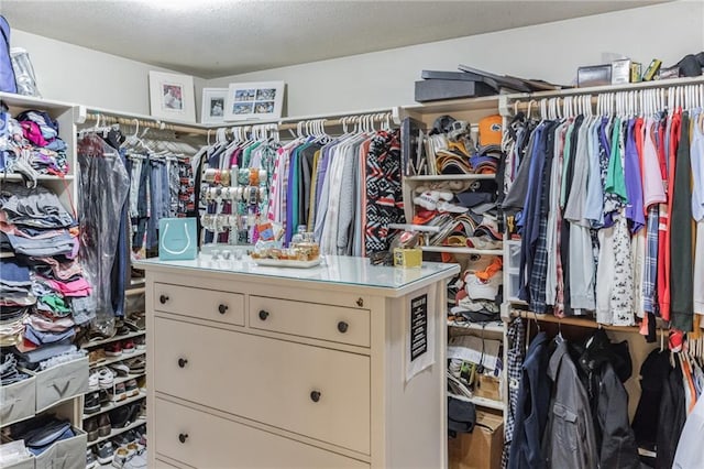 view of walk in closet