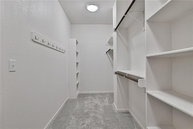 spacious closet with carpet