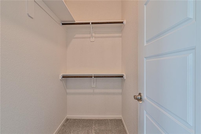 walk in closet with carpet