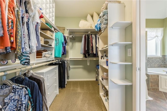 spacious closet with carpet flooring