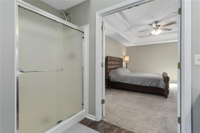 carpeted bedroom with a raised ceiling, a ceiling fan, wood finished floors, a textured ceiling, and a closet