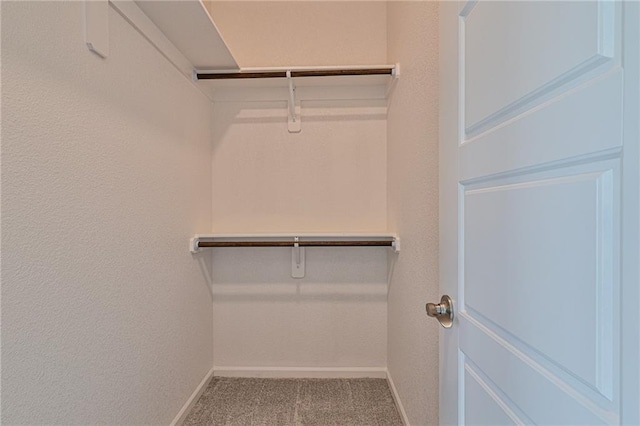 spacious closet featuring carpet