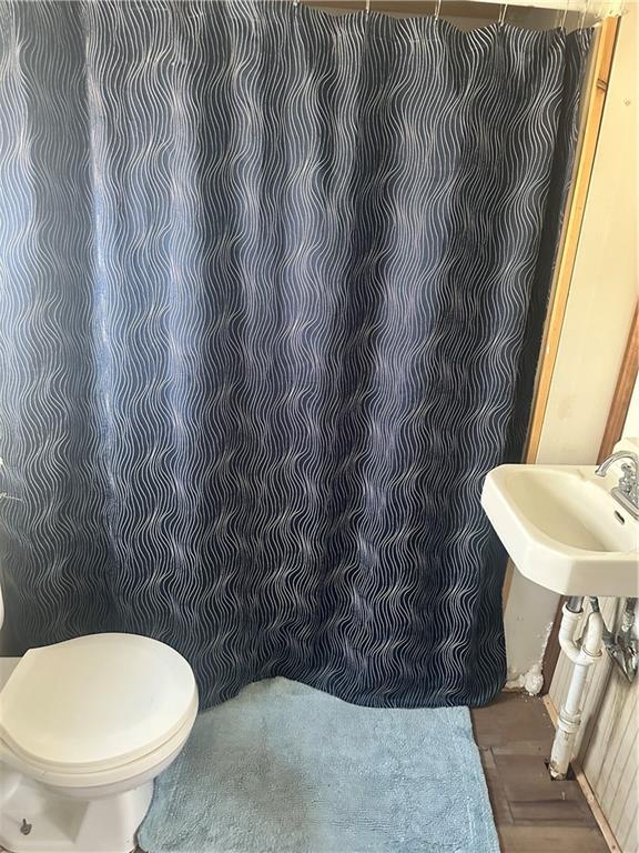 bathroom with toilet, a sink, and wood finished floors