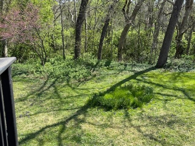 view of yard featuring a view of trees