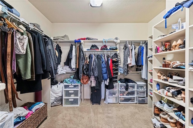 walk in closet with carpet flooring