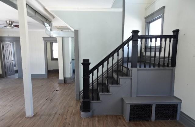 staircase with crown molding, a ceiling fan, plenty of natural light, and wood finished floors