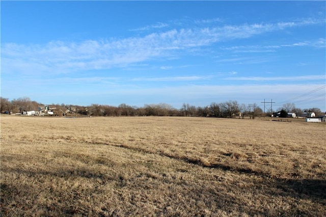 view of local wilderness with a rural view